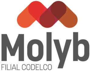 MOLYB V